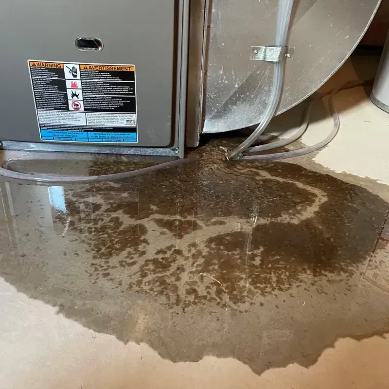 Appliance Leak Cleanup in Tripp County, SD